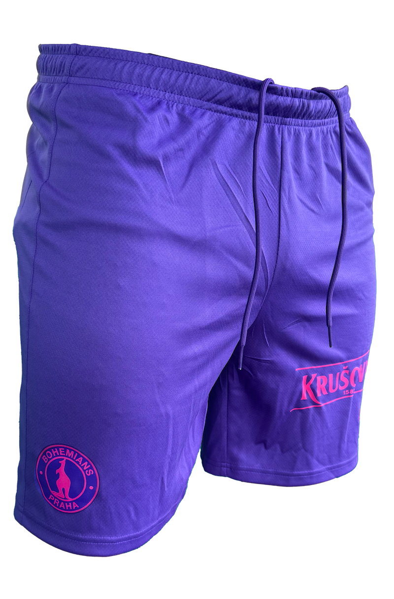 6634-kratasy fialove hracske 1